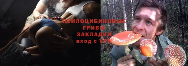 героин Алексин